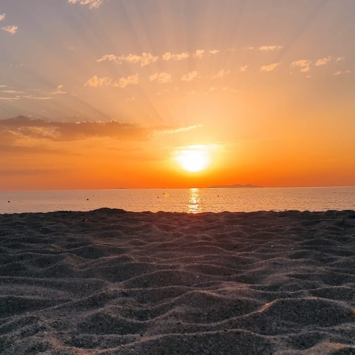 IMG_20221103_223513_007