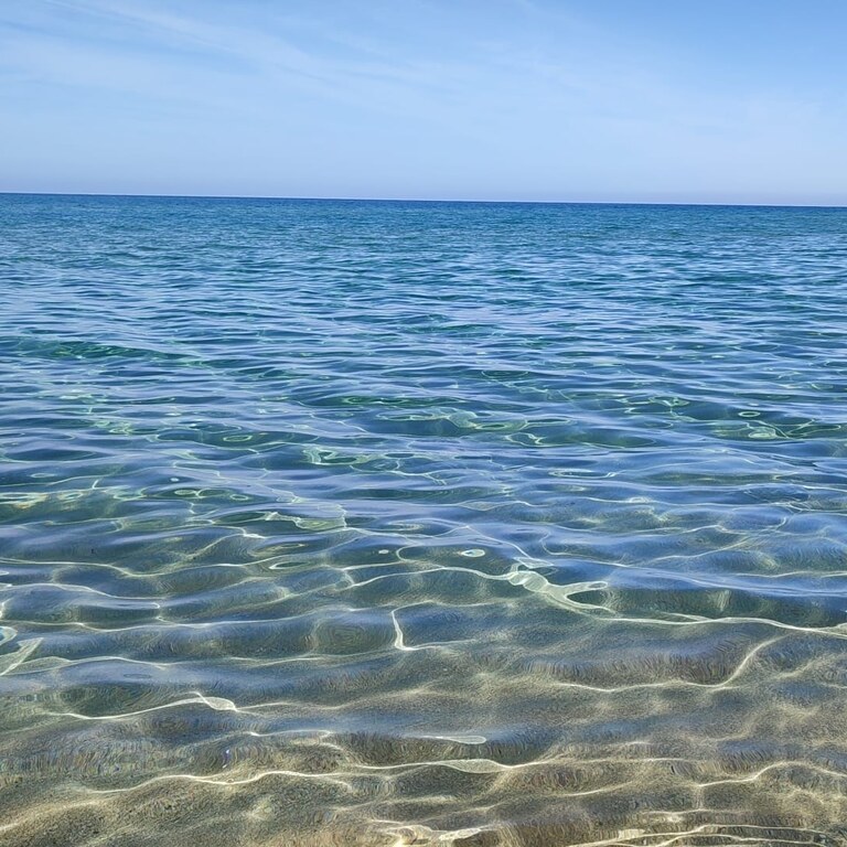 IMG_20230315_145918_400